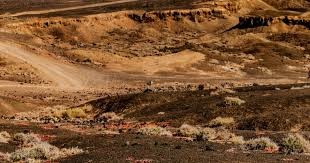 7月的广州，悄悄变成了DNF手游的“痛城”